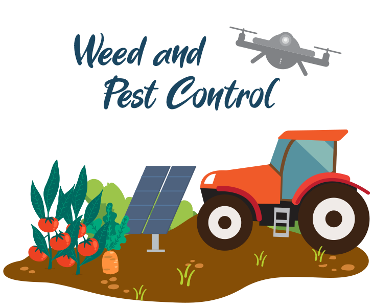 Weed and Pest Control