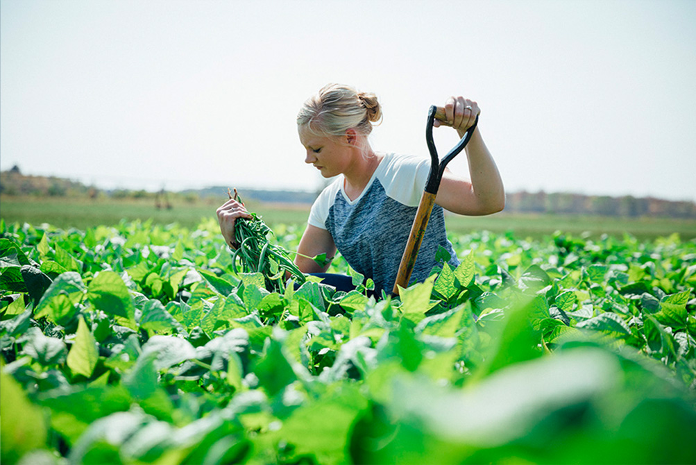 Farmer Stephanie