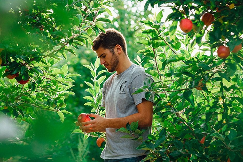 Farmer Kent