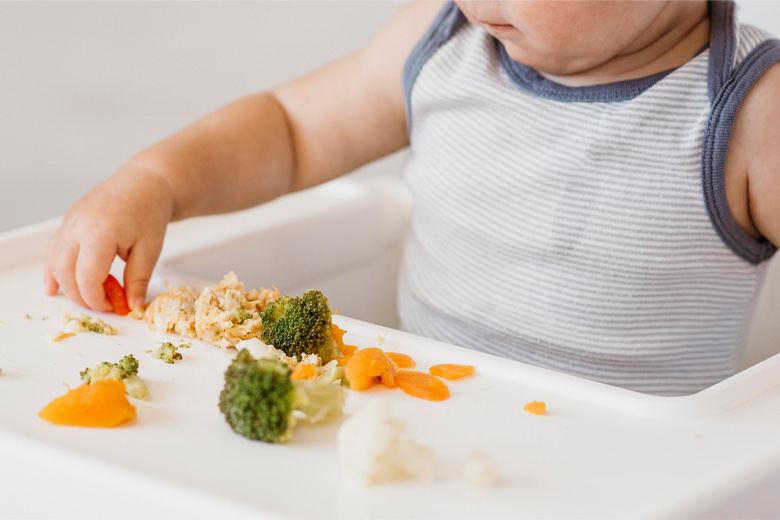 Finger Foods For Your Little One