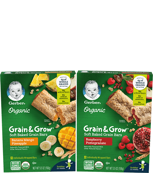 Organic Grain & Grow Soft Baked Grain Bars